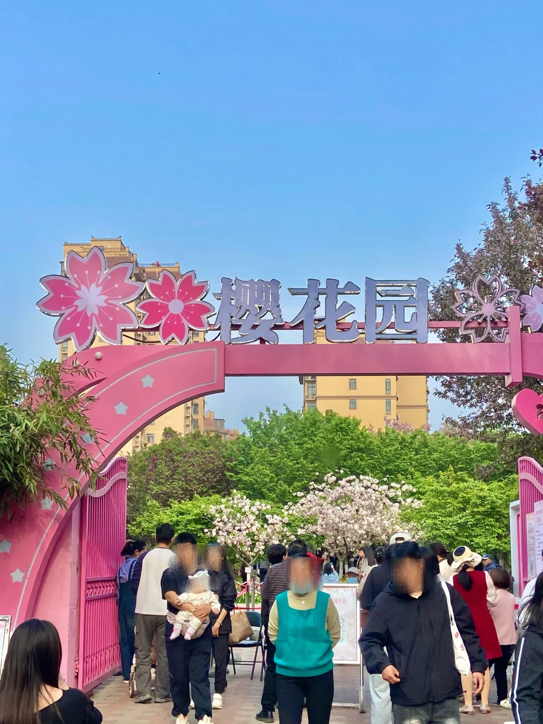 安阳周边📍免费赏花好去处！樱花🌸郁金香🌷