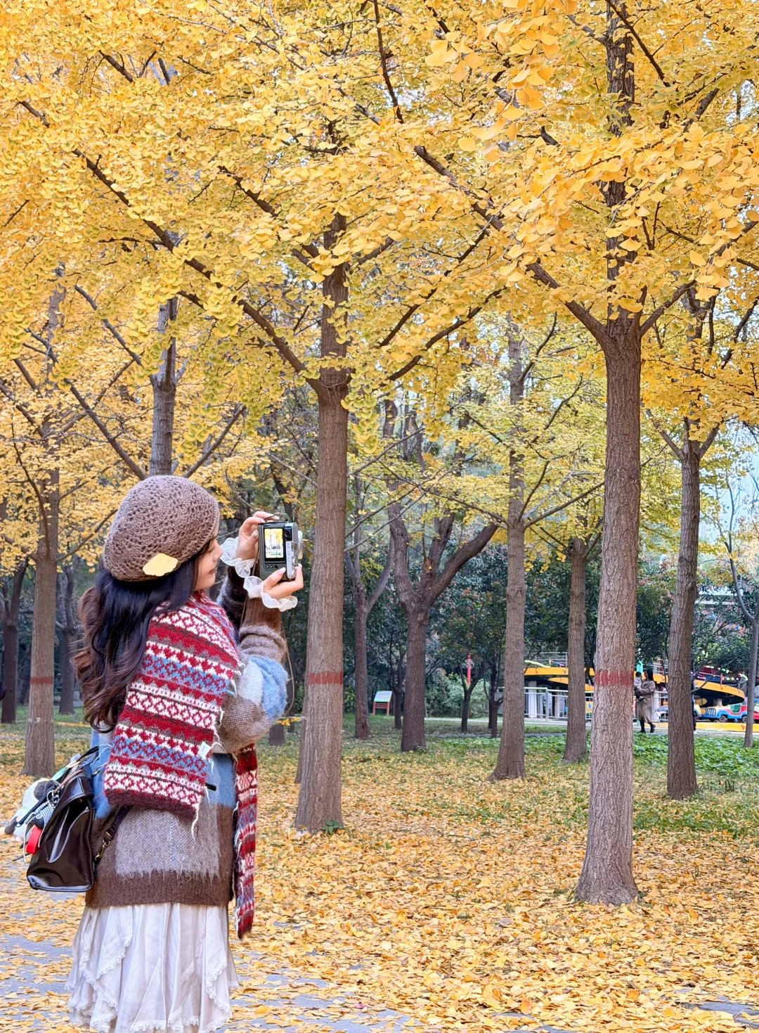 镜头下的秋天🍂