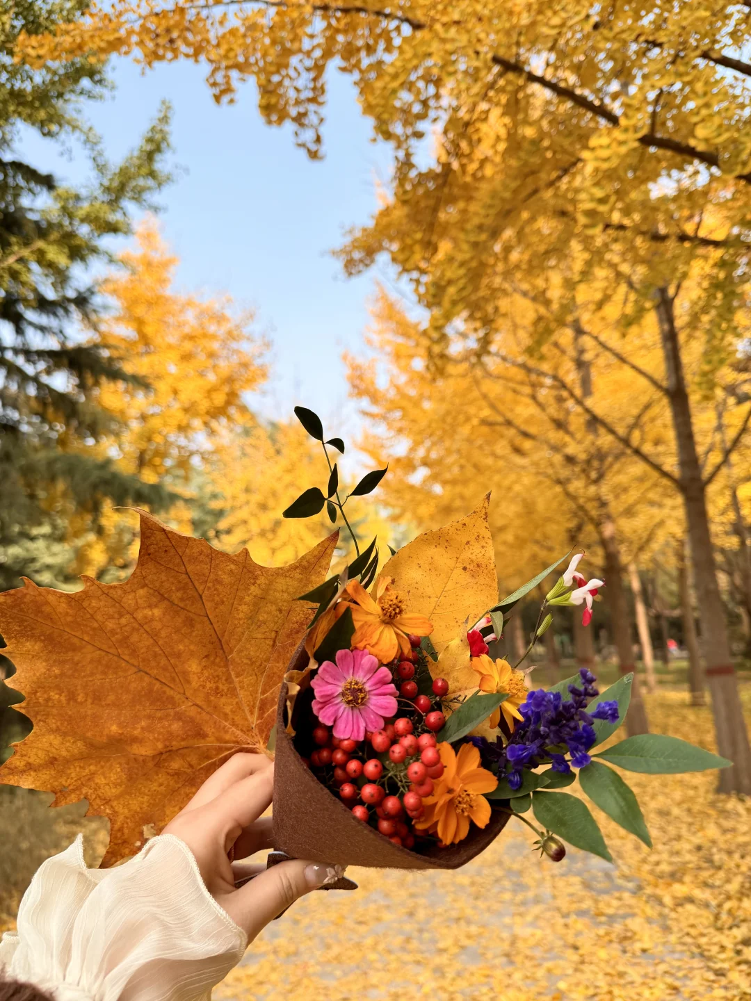 镜头下的秋天🍂