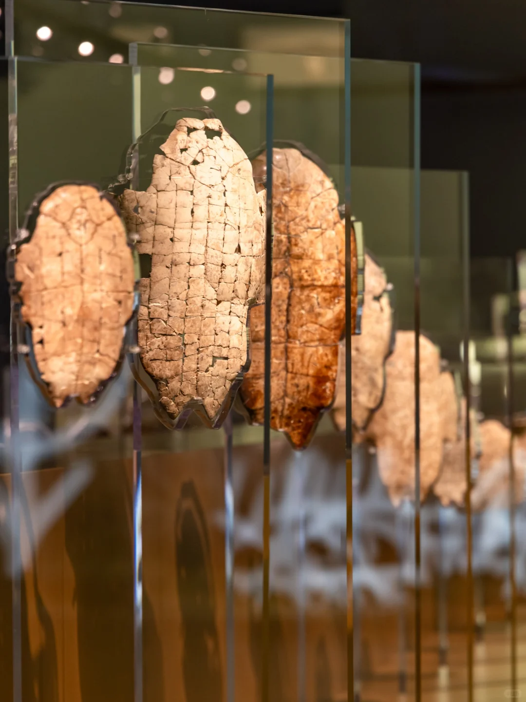 被低估的宝藏小城安阳🔥千年沉寂请发光！