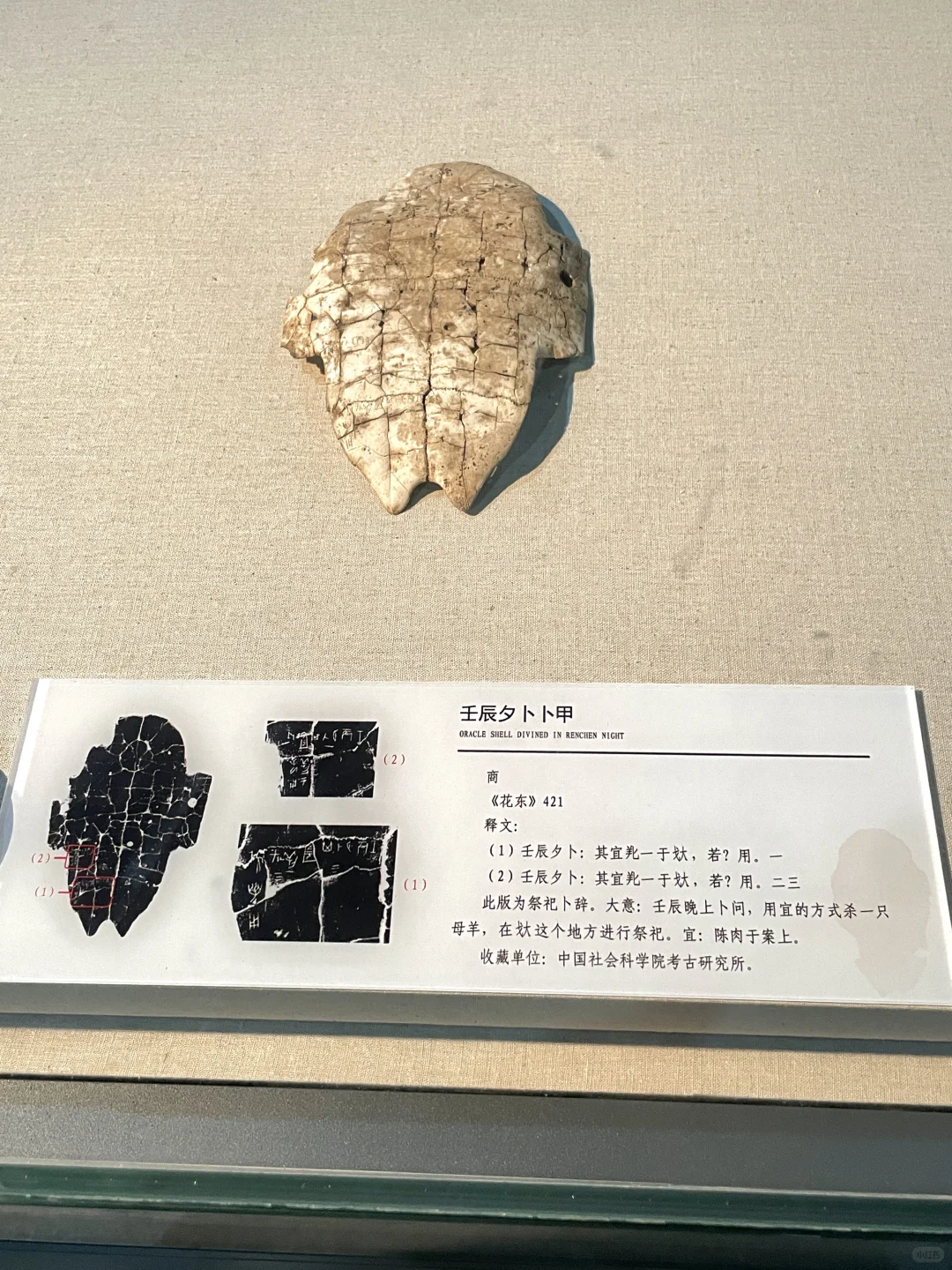 安阳最值得去的地方！！没开玩笑！！！