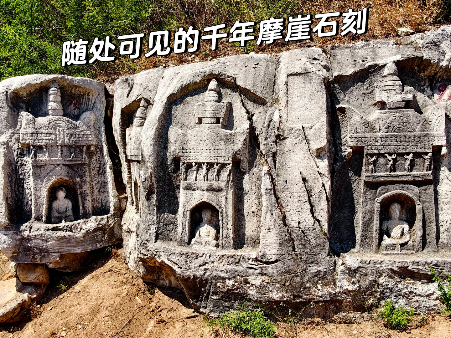 大圣来过❗️封面登过❗️安阳 这流量你还不接？