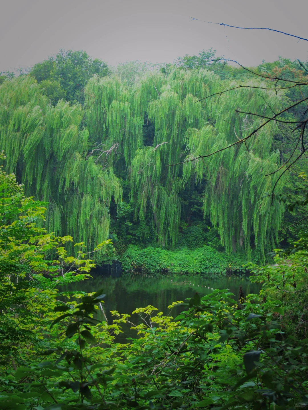 所谓七朝古都，大概就是连公园都有历史。|