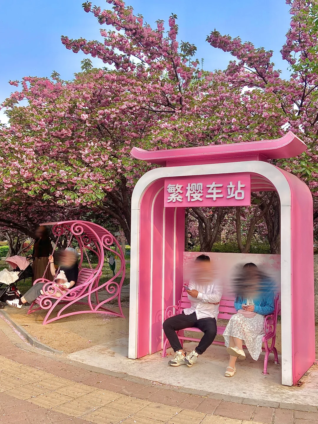 安阳周边📍免费赏花好去处！樱花🌸郁金香🌷