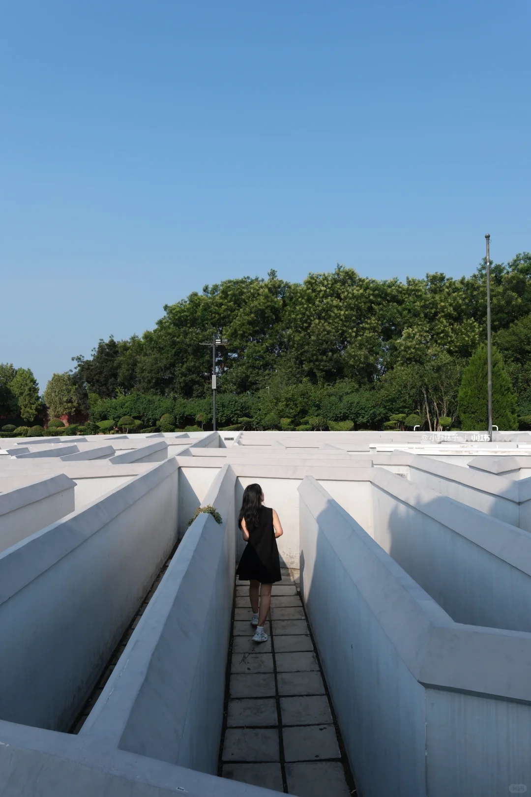 八卦阵迷宫📍专门为了这个 来了一趟安阳