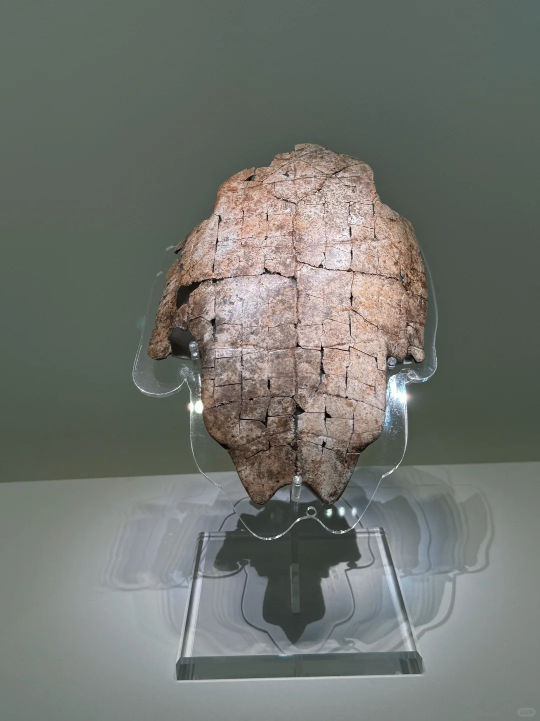 安阳不『墟』此行 晚上逛博爽翻了📍