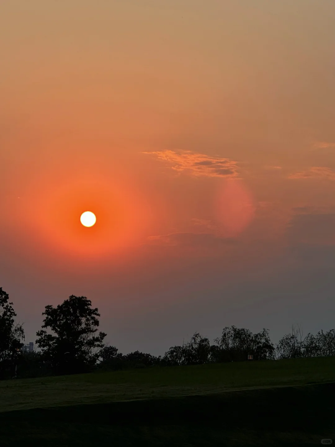 安阳不『墟』此行 晚上逛博爽翻了📍