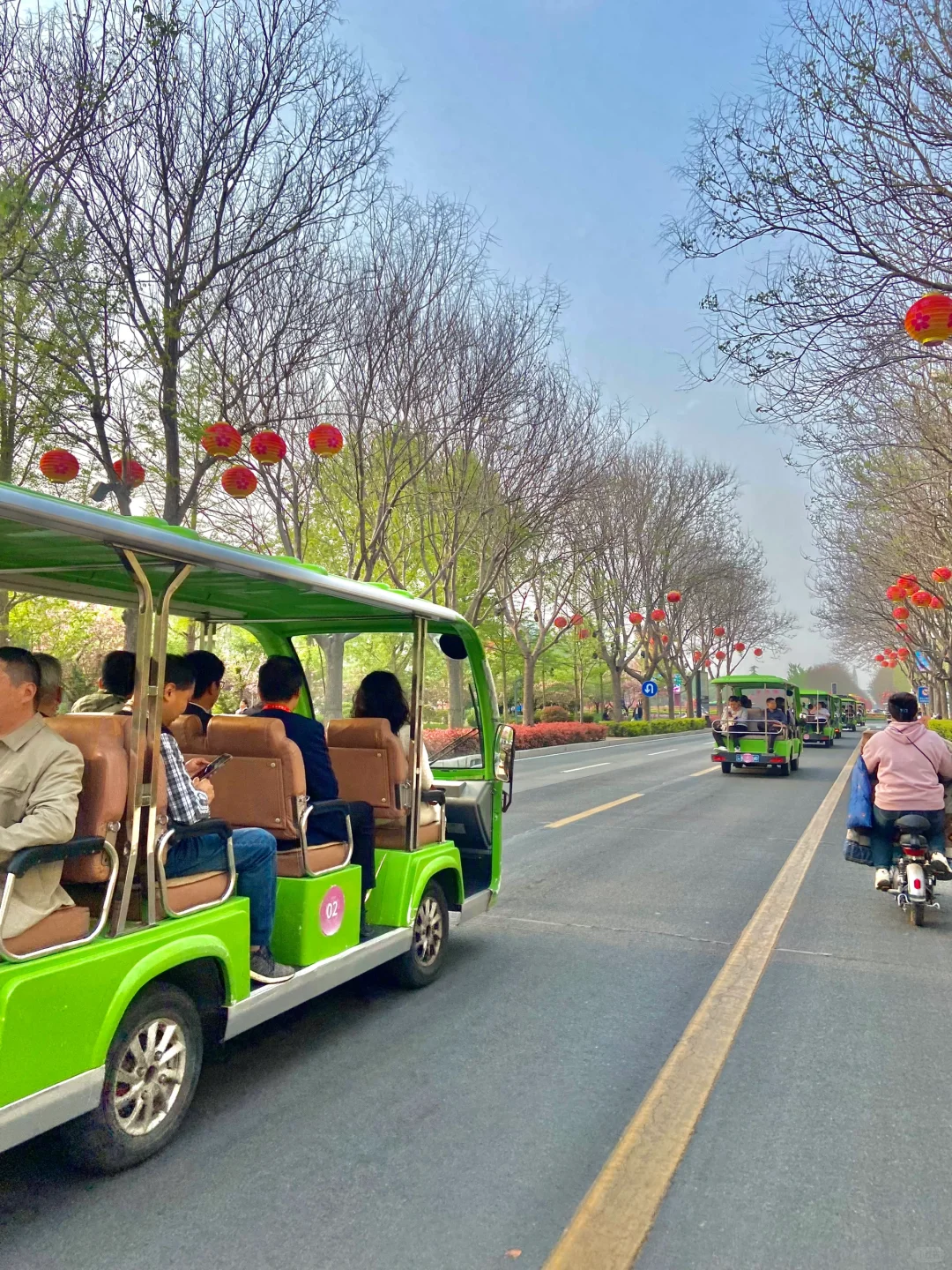 安阳周边📍免费赏花好去处！樱花🌸郁金香🌷