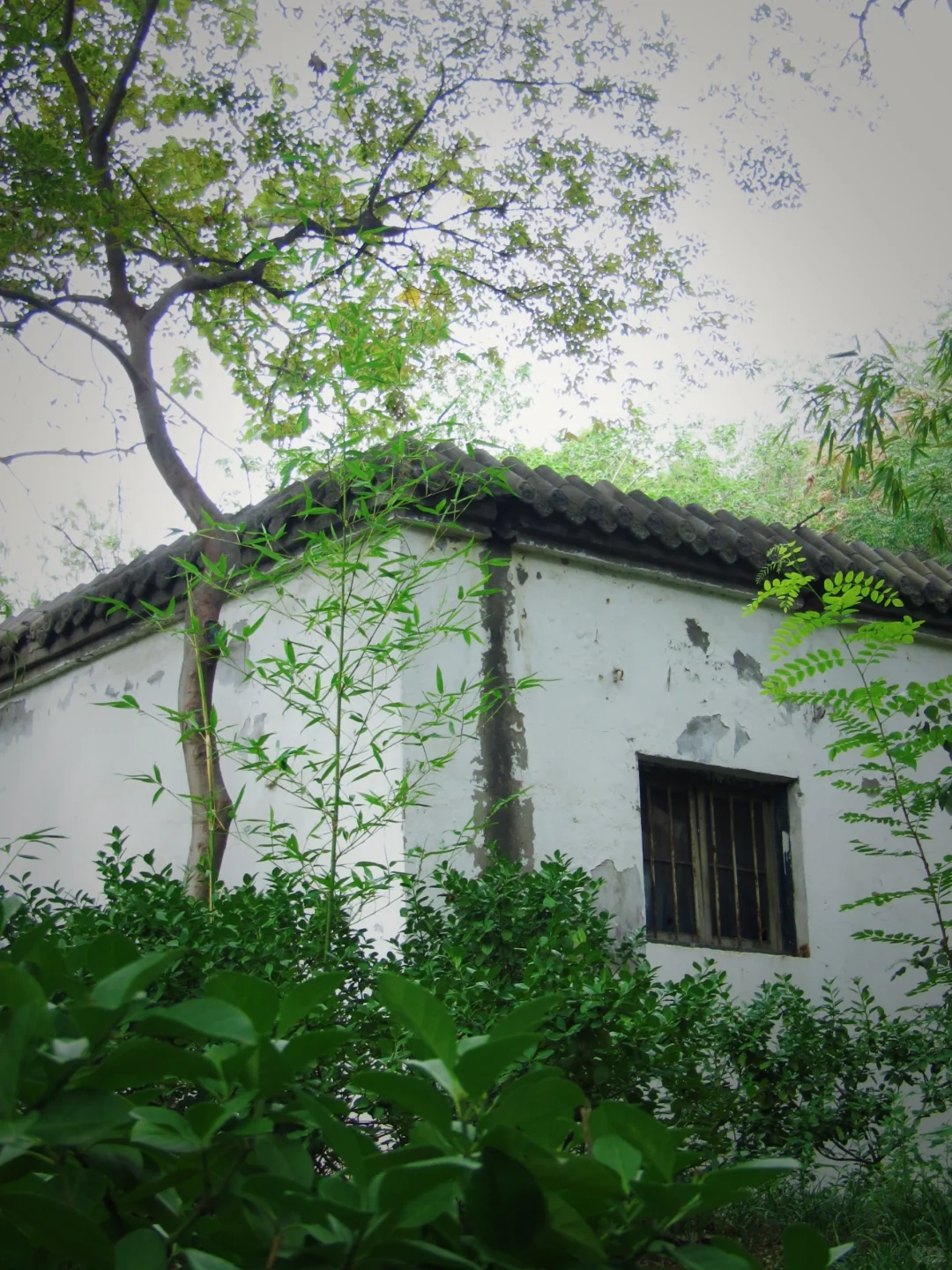 所谓七朝古都，大概就是连公园都有历史。|