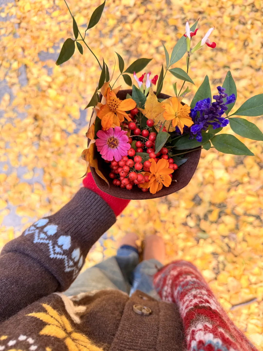 镜头下的秋天🍂