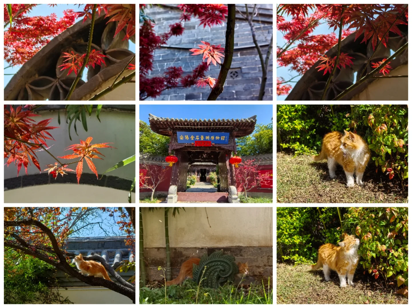 安阳两日游攻略