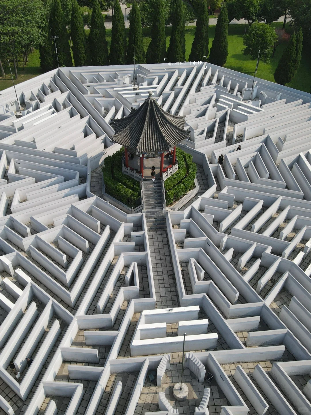 八卦阵迷宫📍专门为了这个 来了一趟安阳