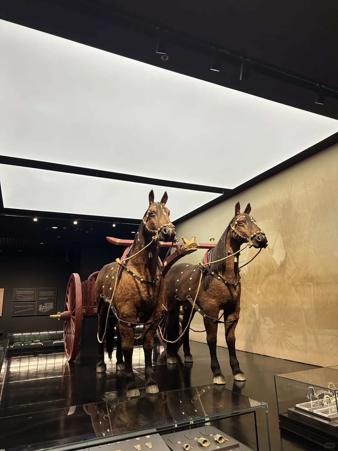 没想到殷墟博物馆…..