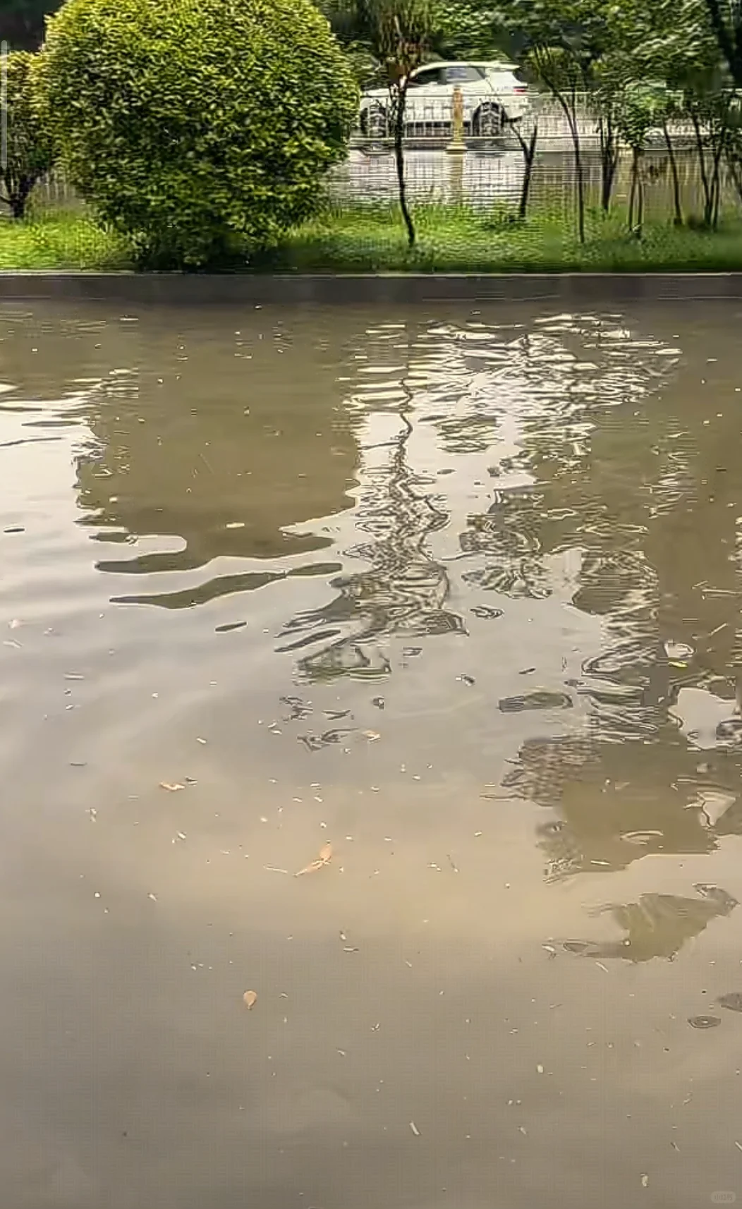 安阳大雨下淹了