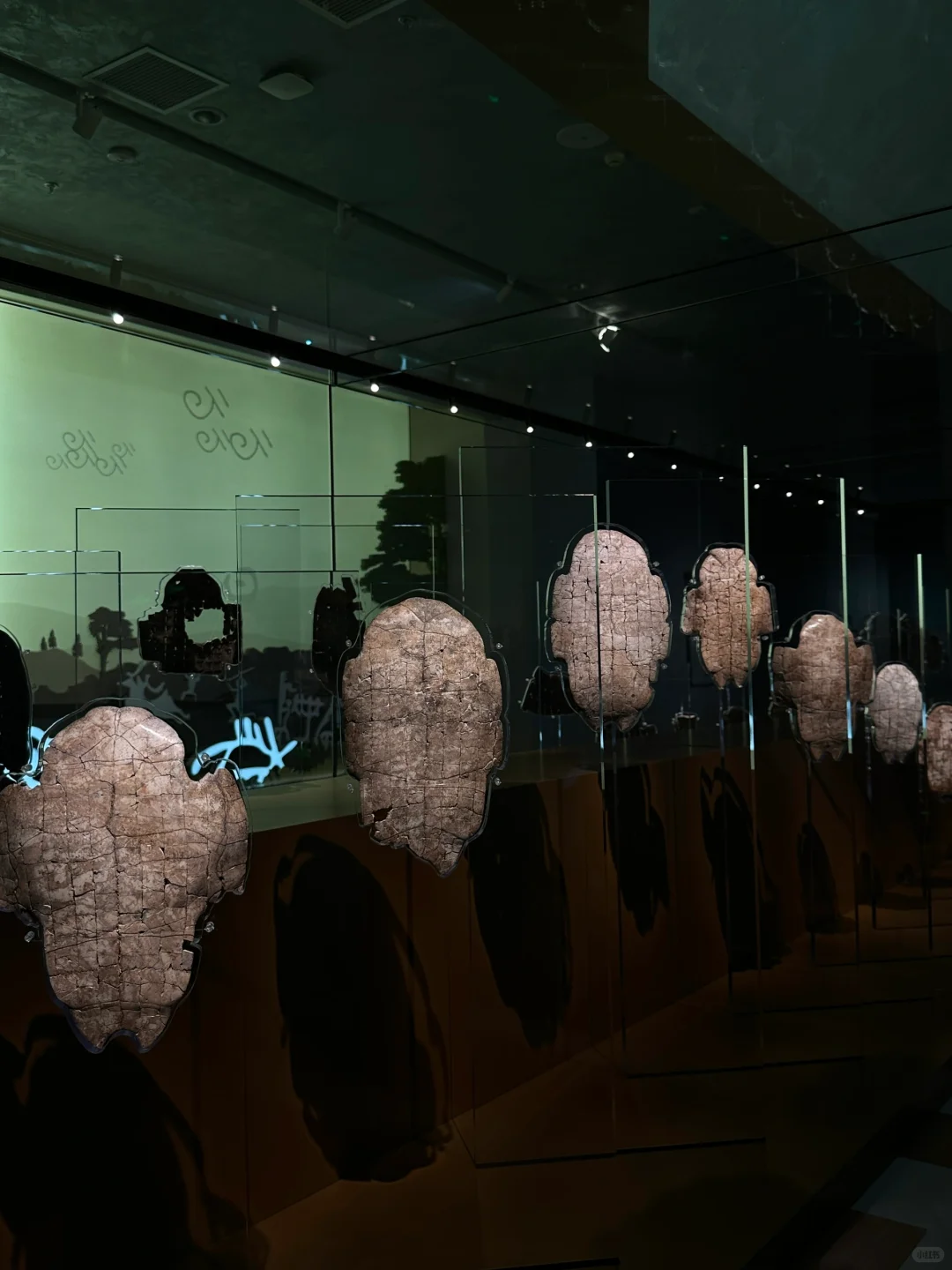 殷墟博物馆 | “天命玄鸟 降而生商”