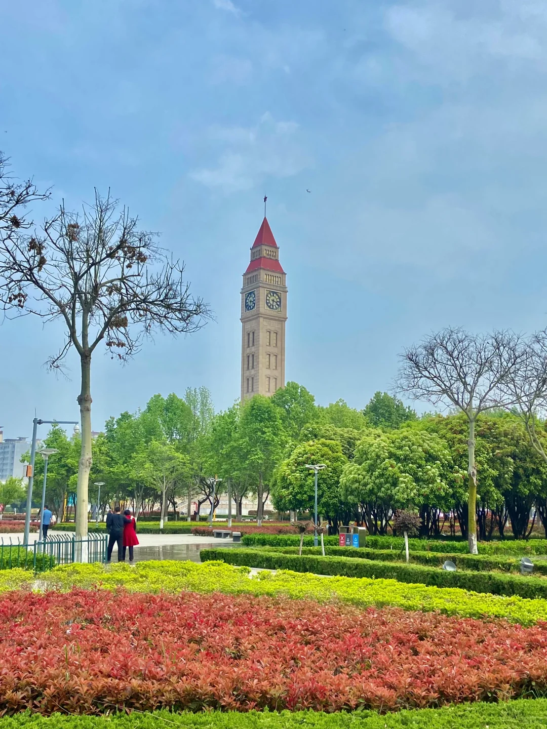 安阳周边📍免费赏花好去处！樱花🌸郁金香🌷