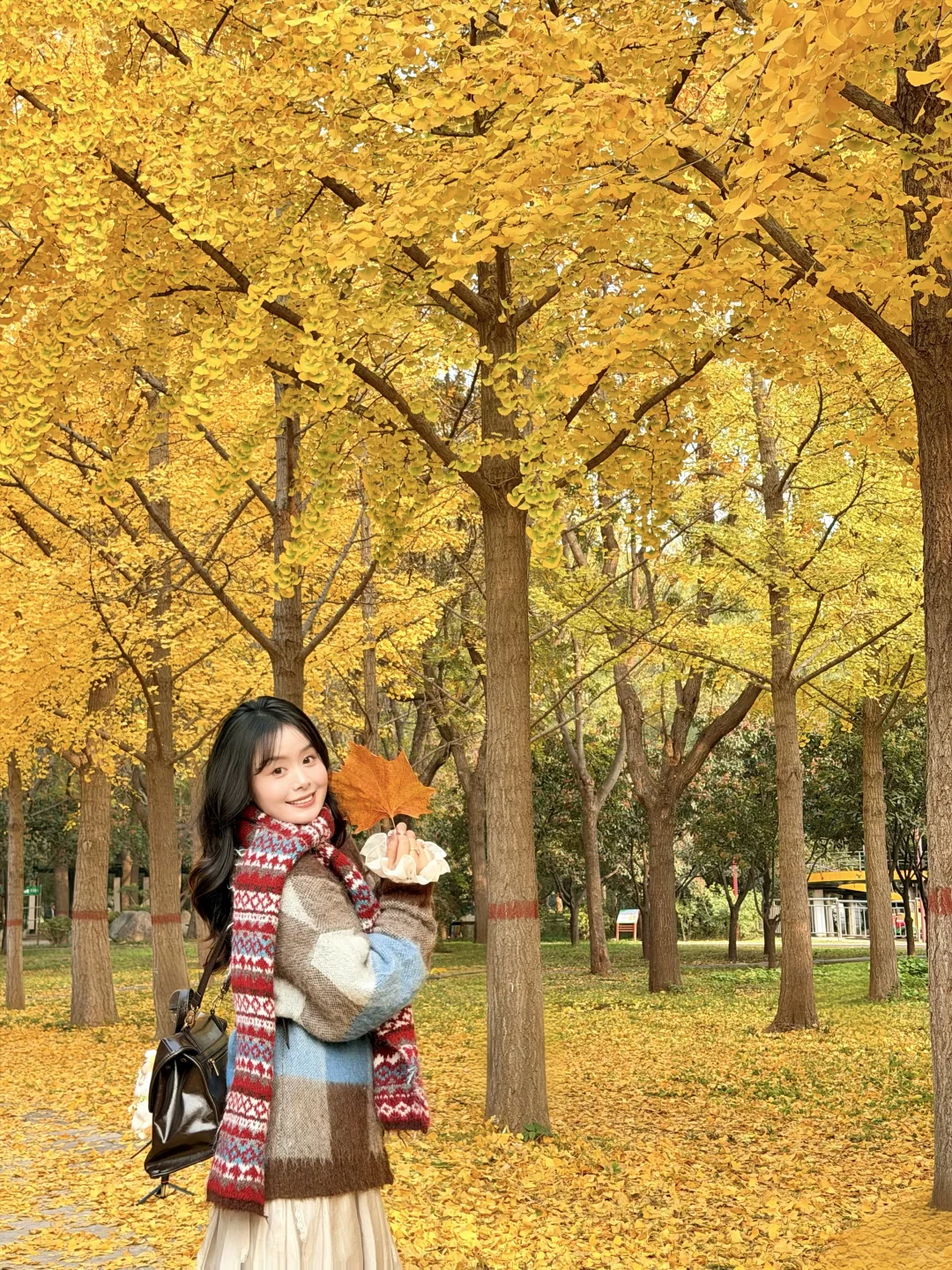 镜头下的秋天🍂