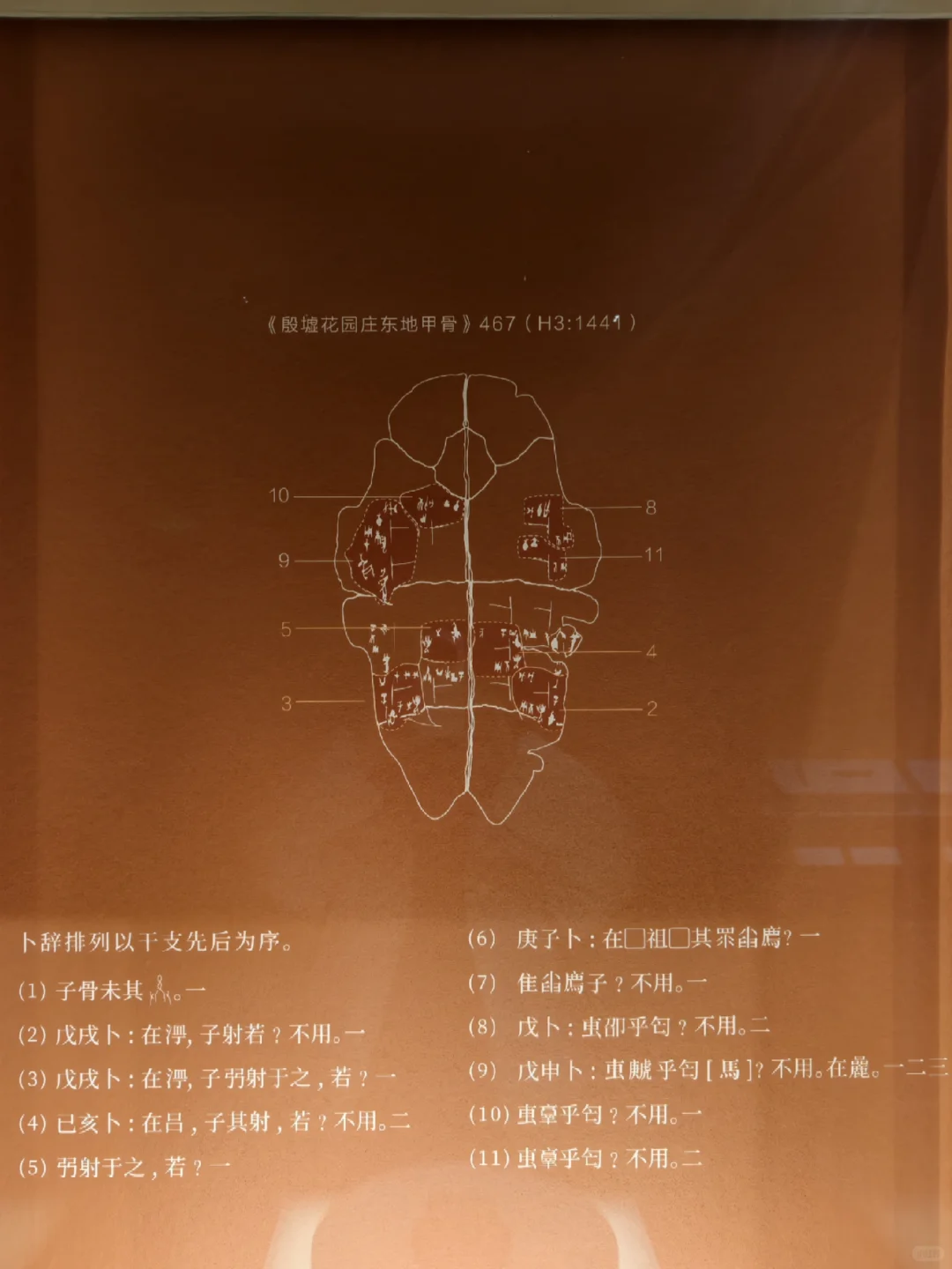 安阳花园庄东地出土刻辞卜(bǔ)甲