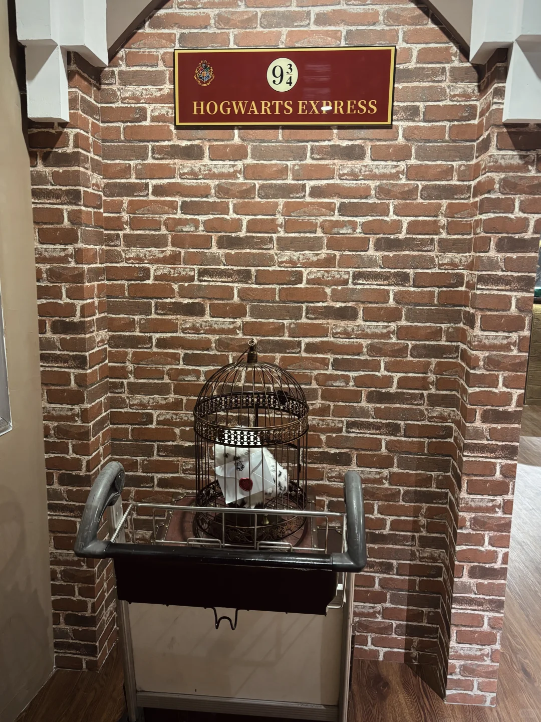 安阳|🪄误入哈利波特魔法世界🔮