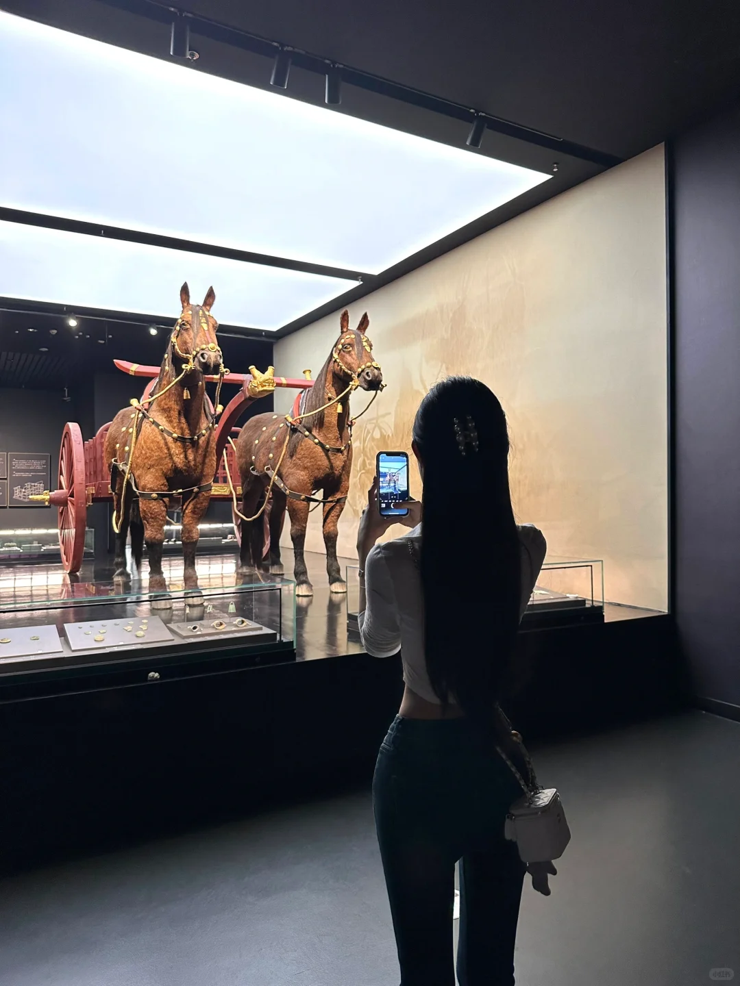 殷墟博物馆 | “天命玄鸟 降而生商”