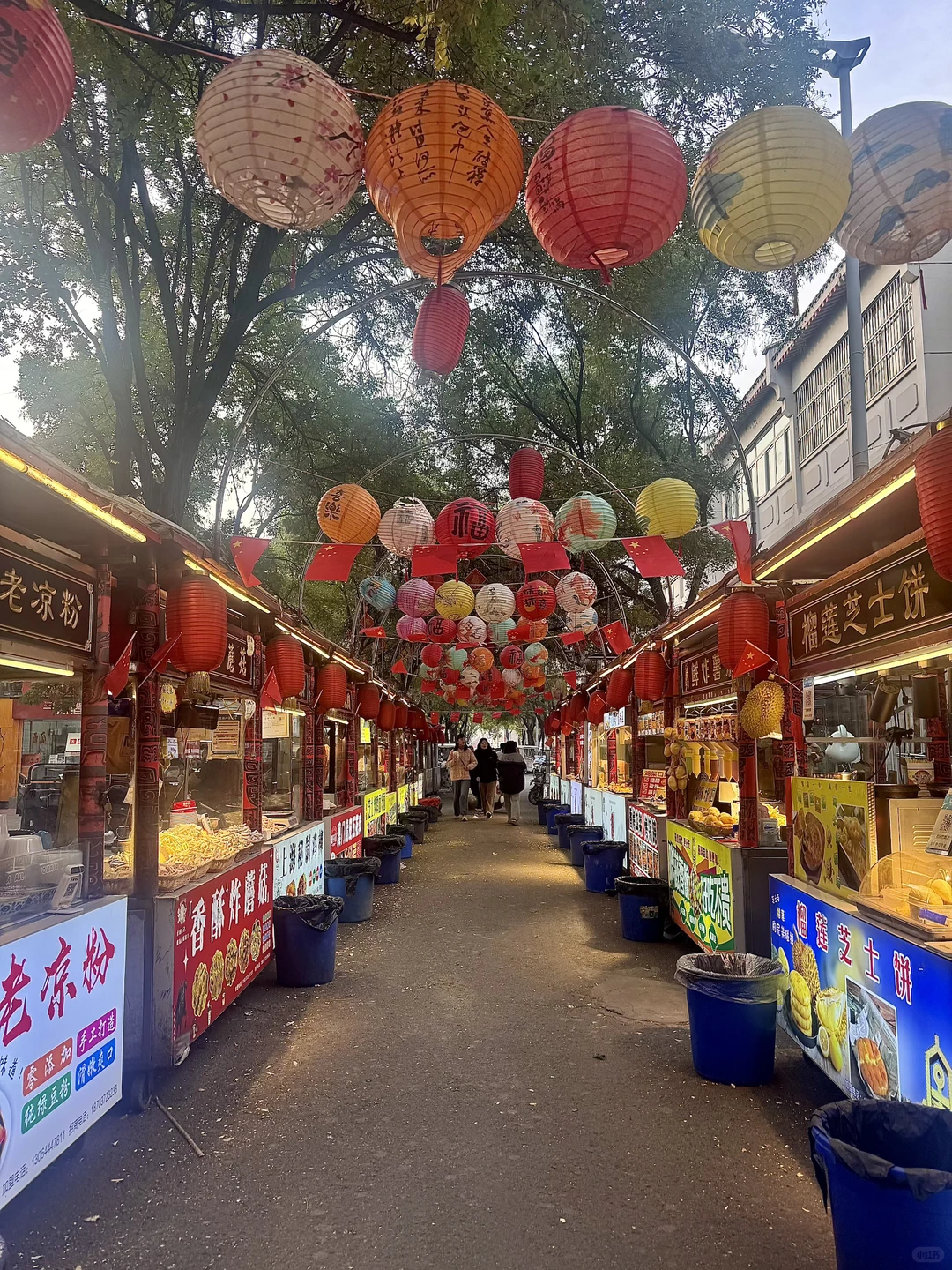 河南 ·安阳📍City Walk一日游