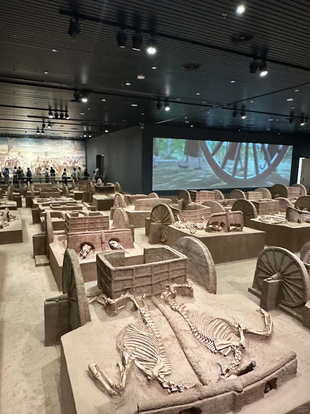 没想到殷墟博物馆…..