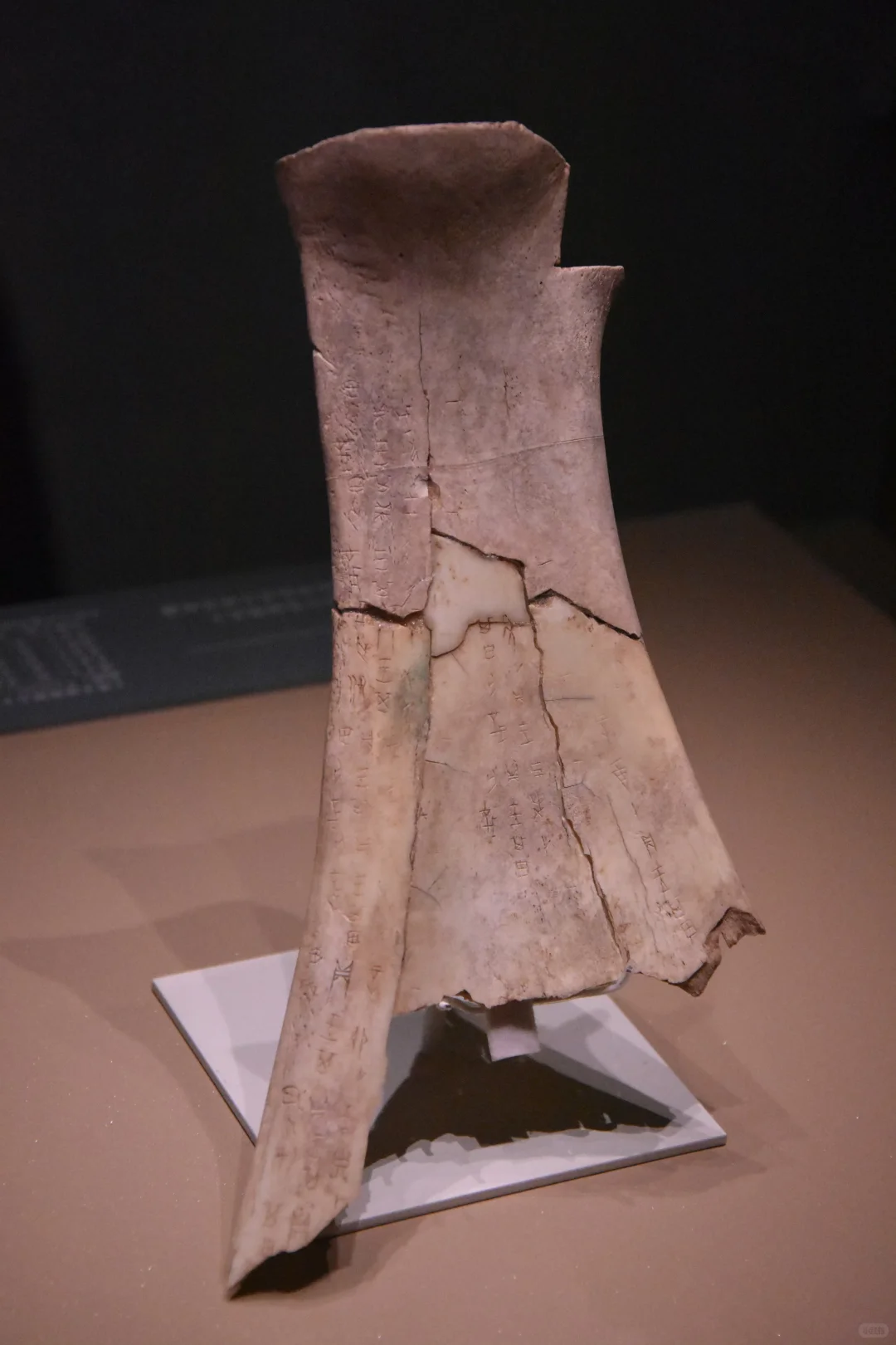 安阳殷墟博物馆