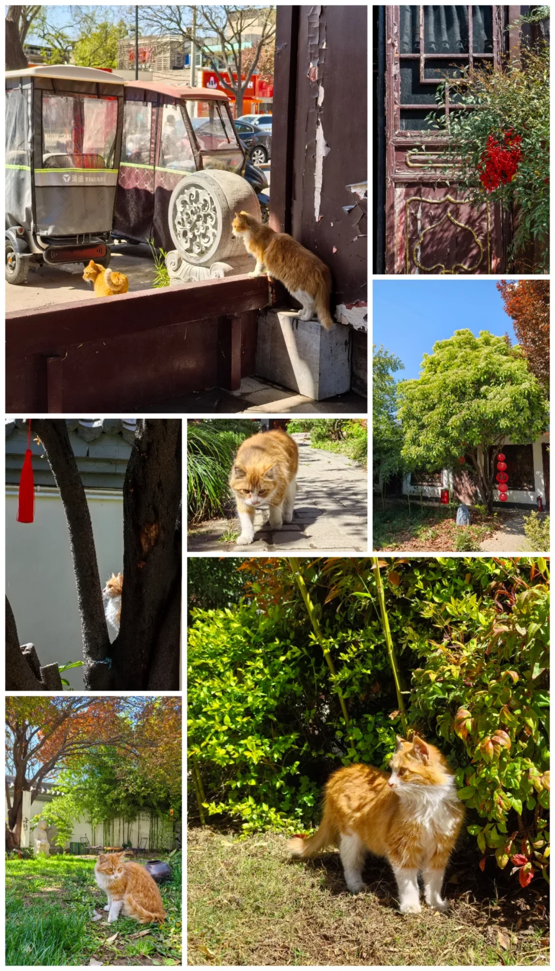 安阳两日游攻略