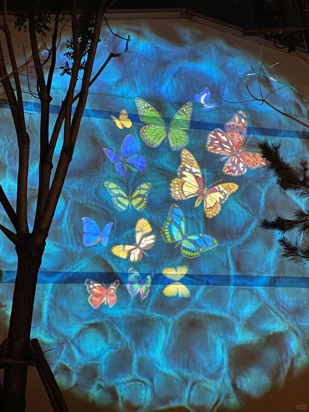 安阳版“水上威尼斯”🤩🤩避暑乘凉‼️超美夜景