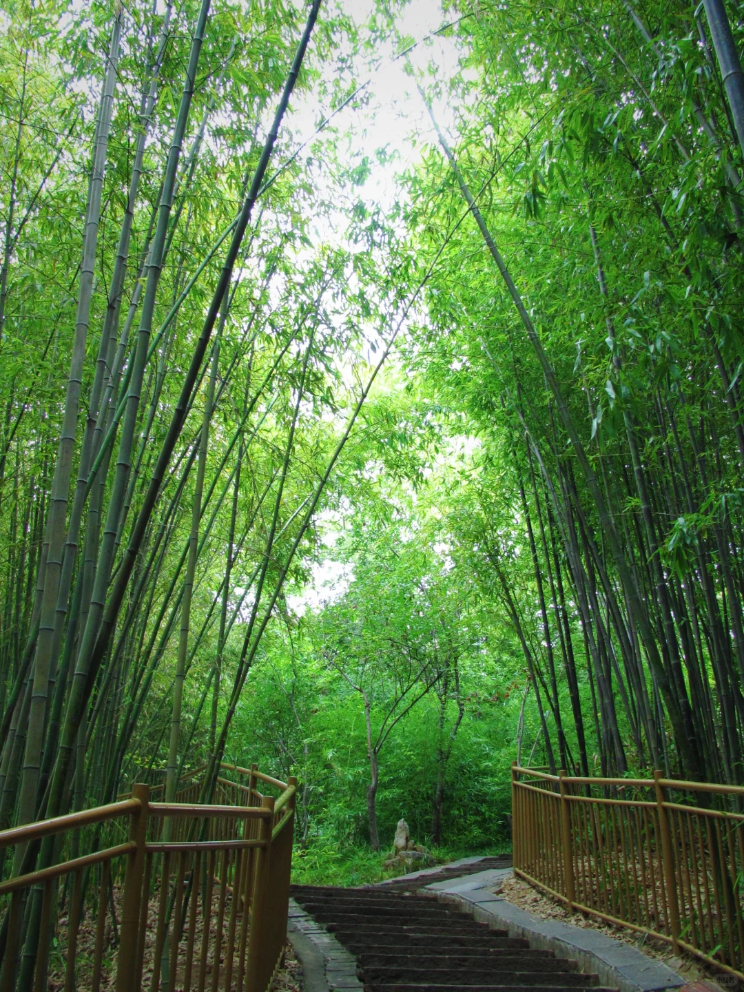 所谓七朝古都，大概就是连公园都有历史。|