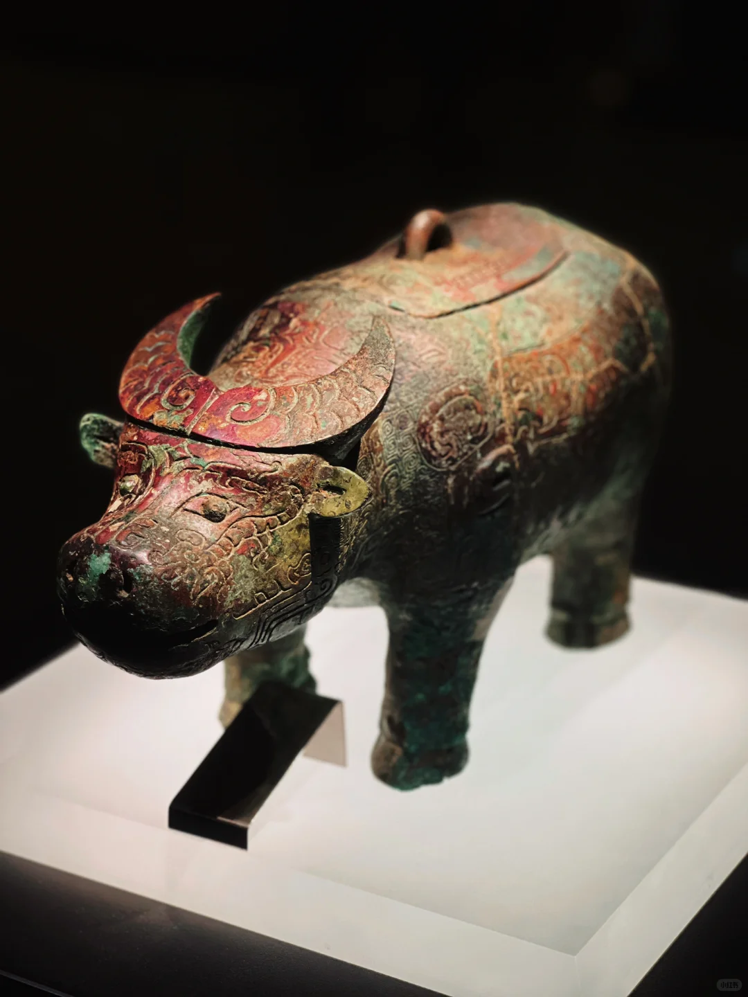 📍安阳｜这是一个被低估的城市