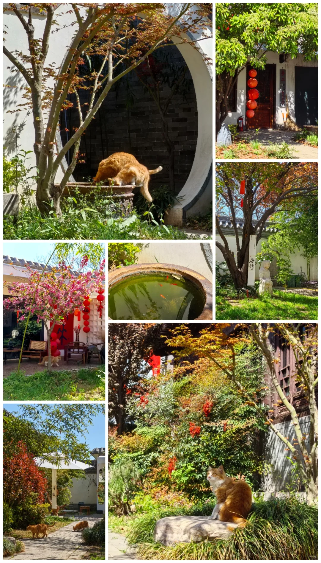 安阳两日游攻略