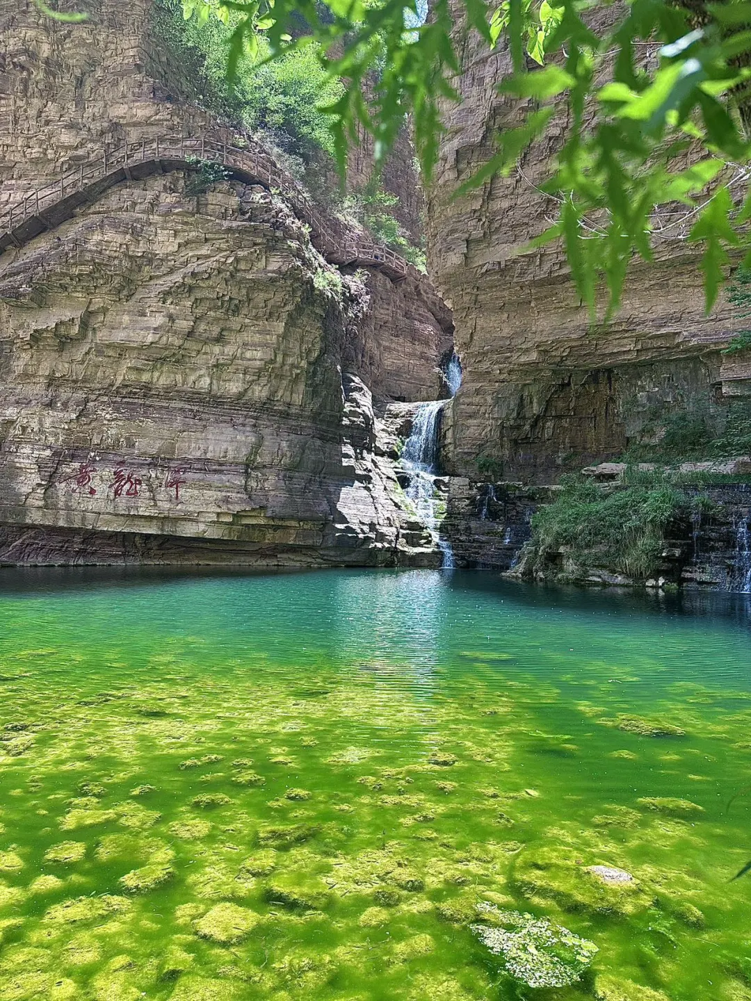 安阳人嘴真严啊！超美的山水秘境避暑胜地！