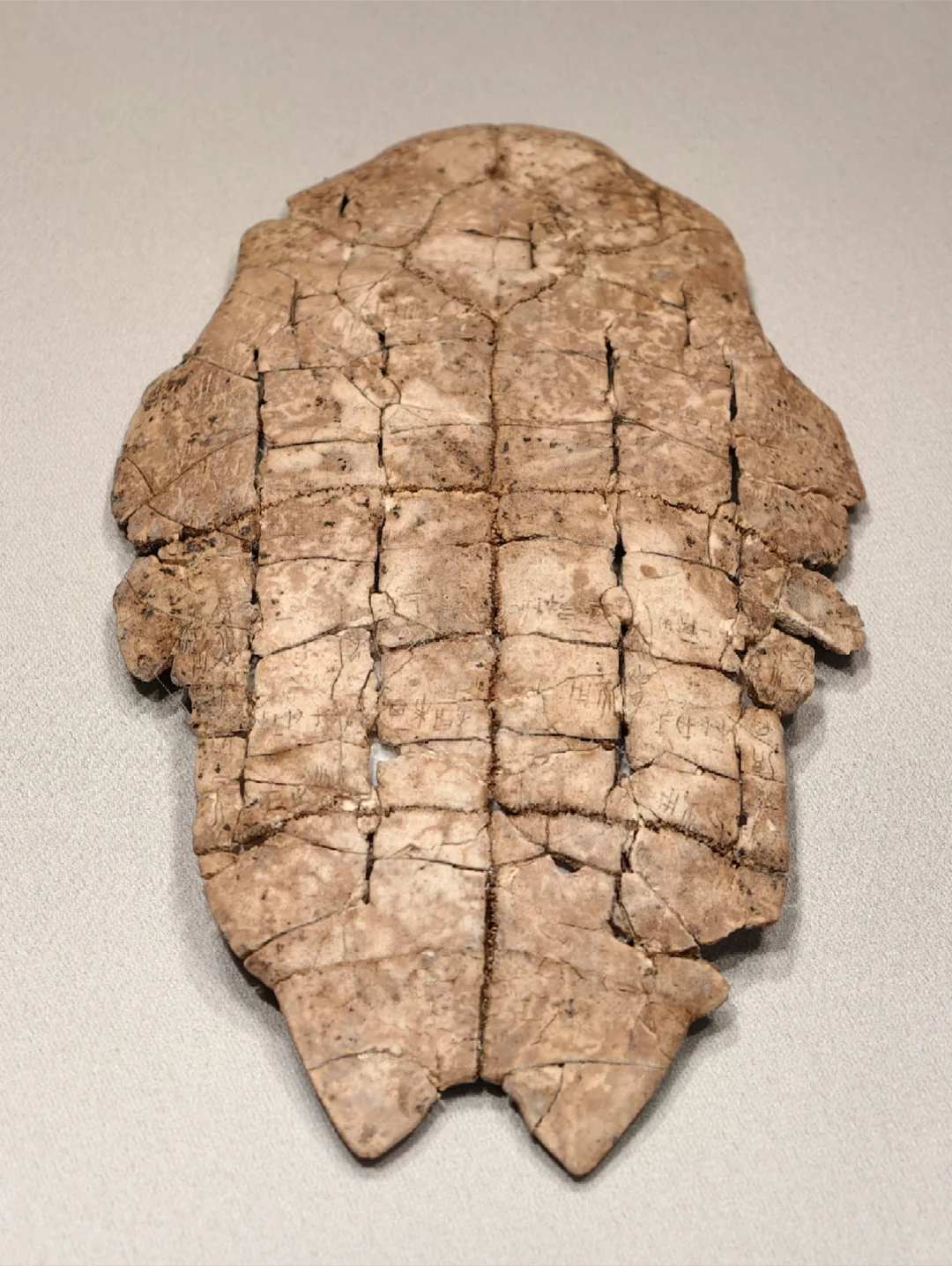 安阳花园庄东地出土刻辞卜(bǔ)甲