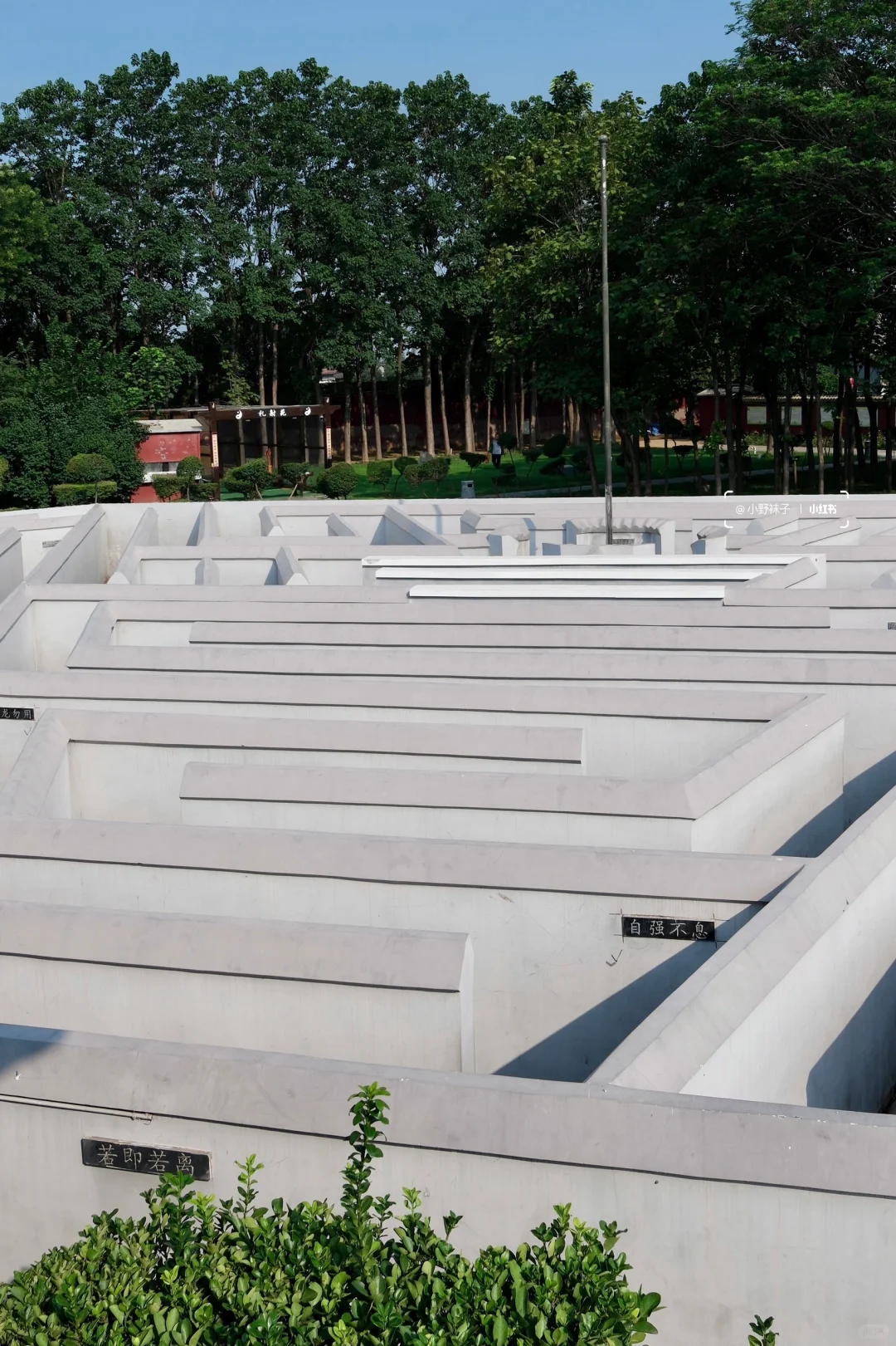 八卦阵迷宫📍专门为了这个 来了一趟安阳