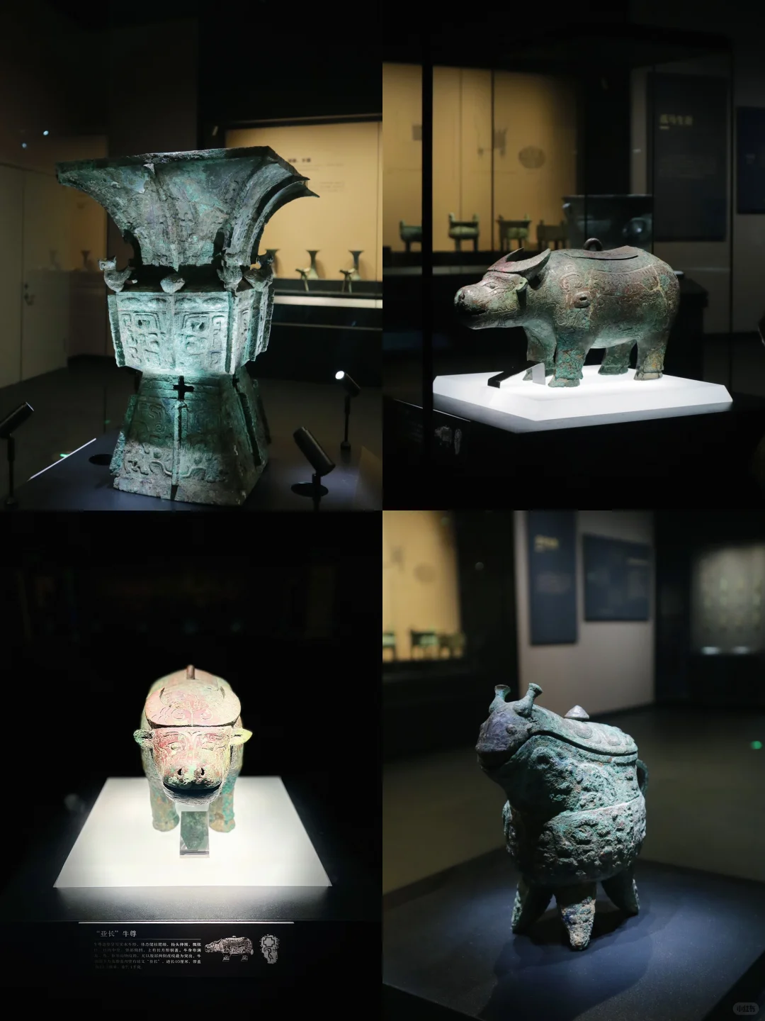 📍殷墟博物馆｜绝佳拍照机位📷免门票攻略🎫