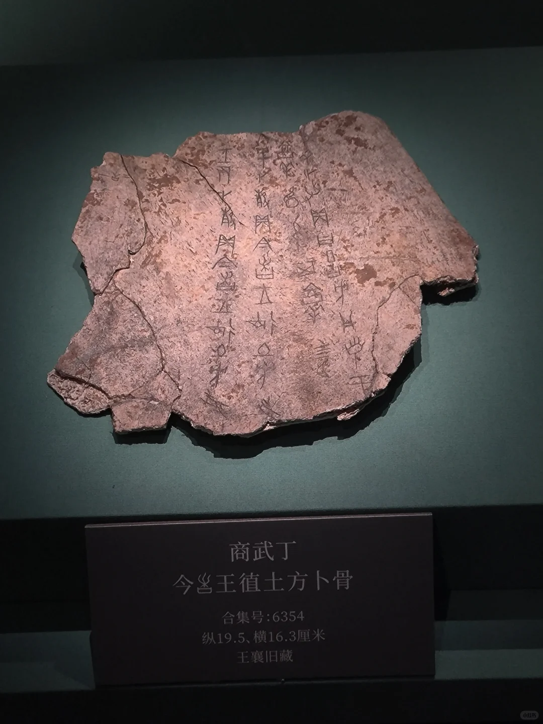 被殷墟震撼到了…