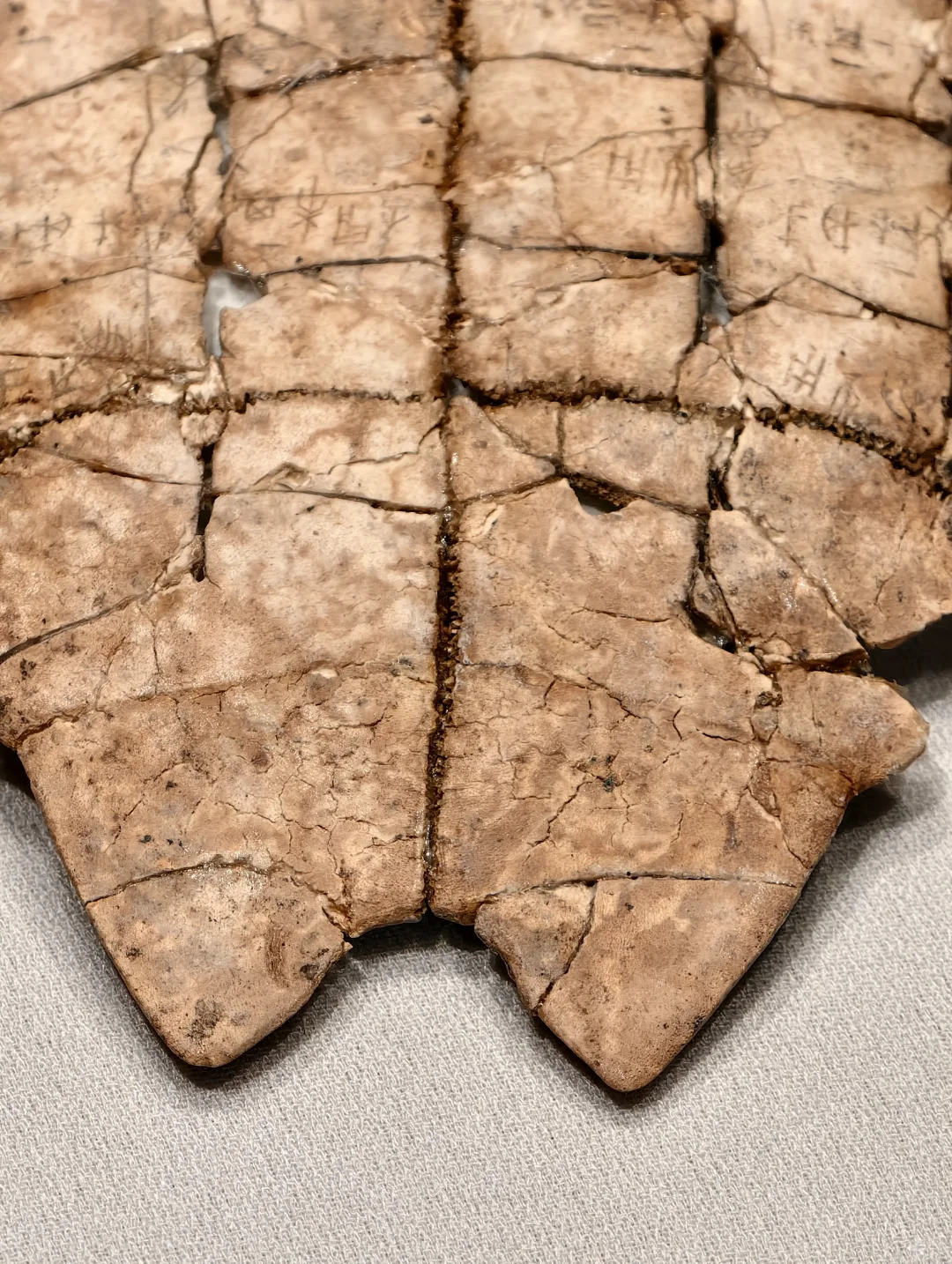 安阳花园庄东地出土刻辞卜(bǔ)甲