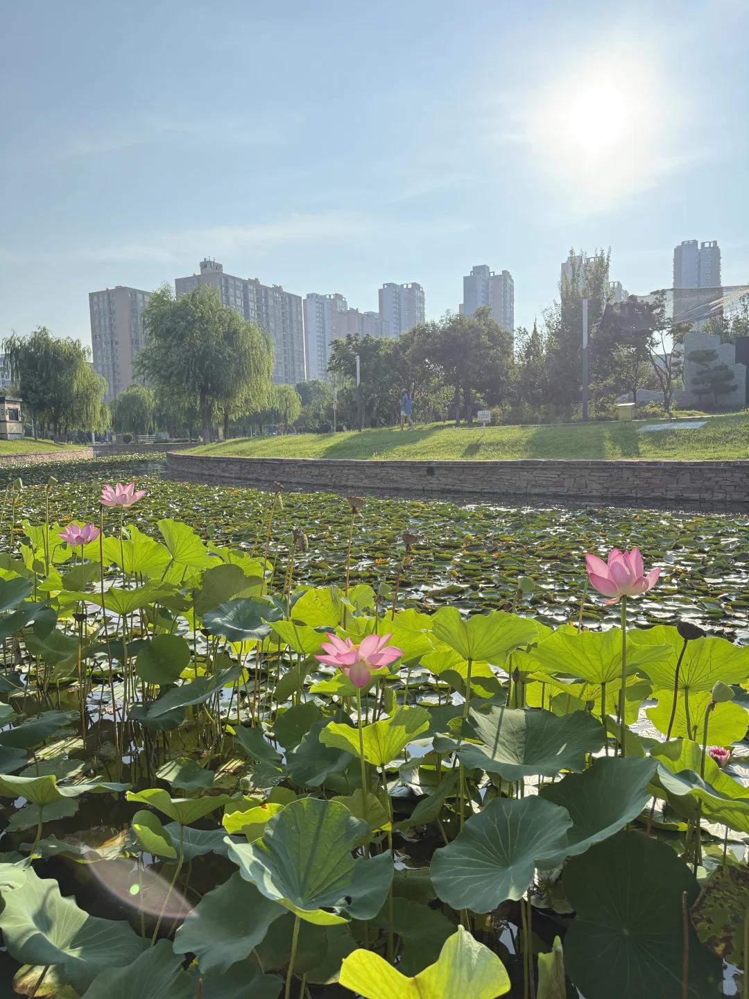 安阳最好逛的地方是免费的🆓