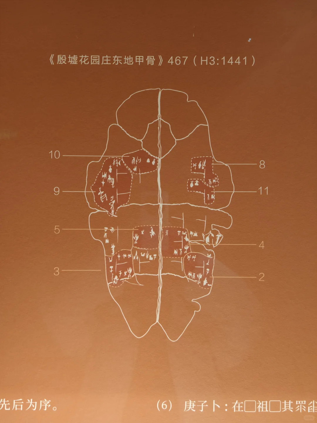 安阳花园庄东地出土刻辞卜(bǔ)甲