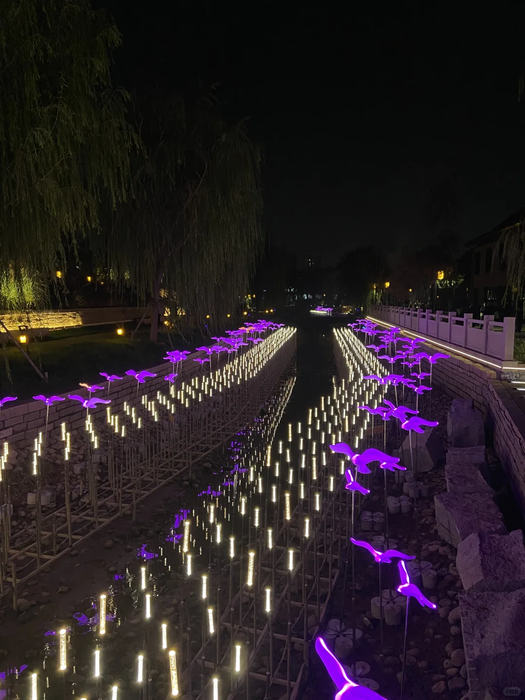 安阳版“水上威尼斯”🤩🤩避暑乘凉‼️超美夜景