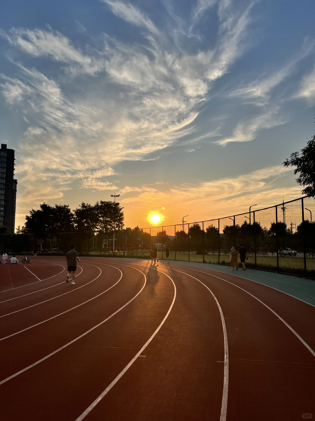 安阳市文体中心体育场跑步🏃🏻‍♀️🌇