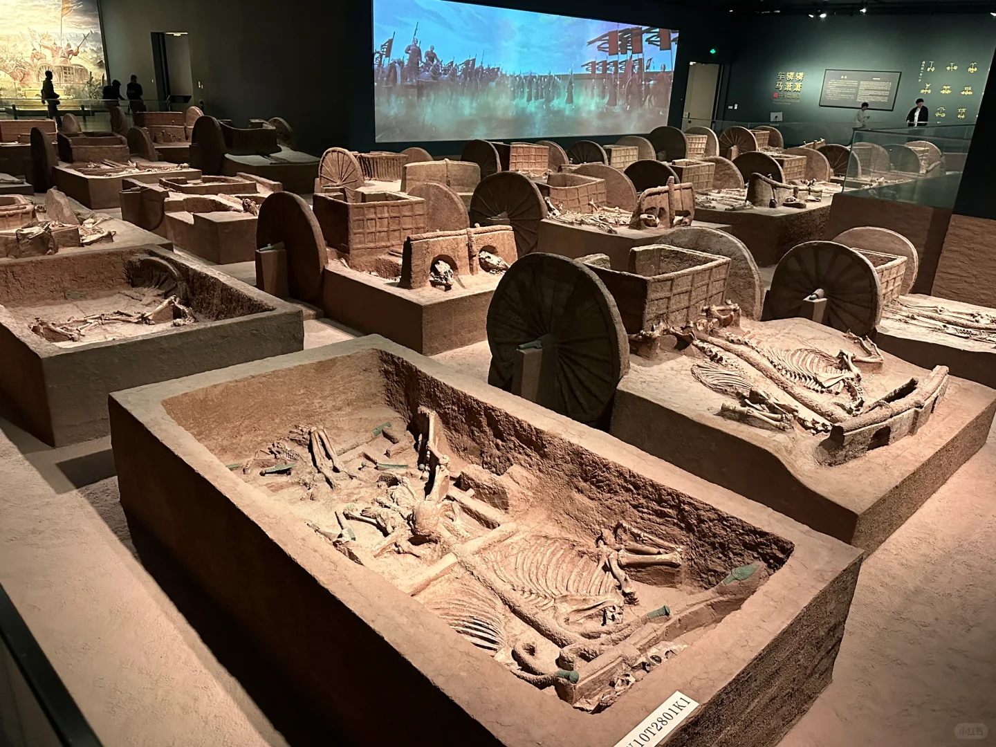 殷墟博物馆 | “天命玄鸟 降而生商”