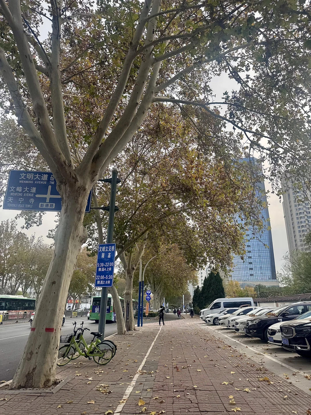 河南 ·安阳📍City Walk一日游