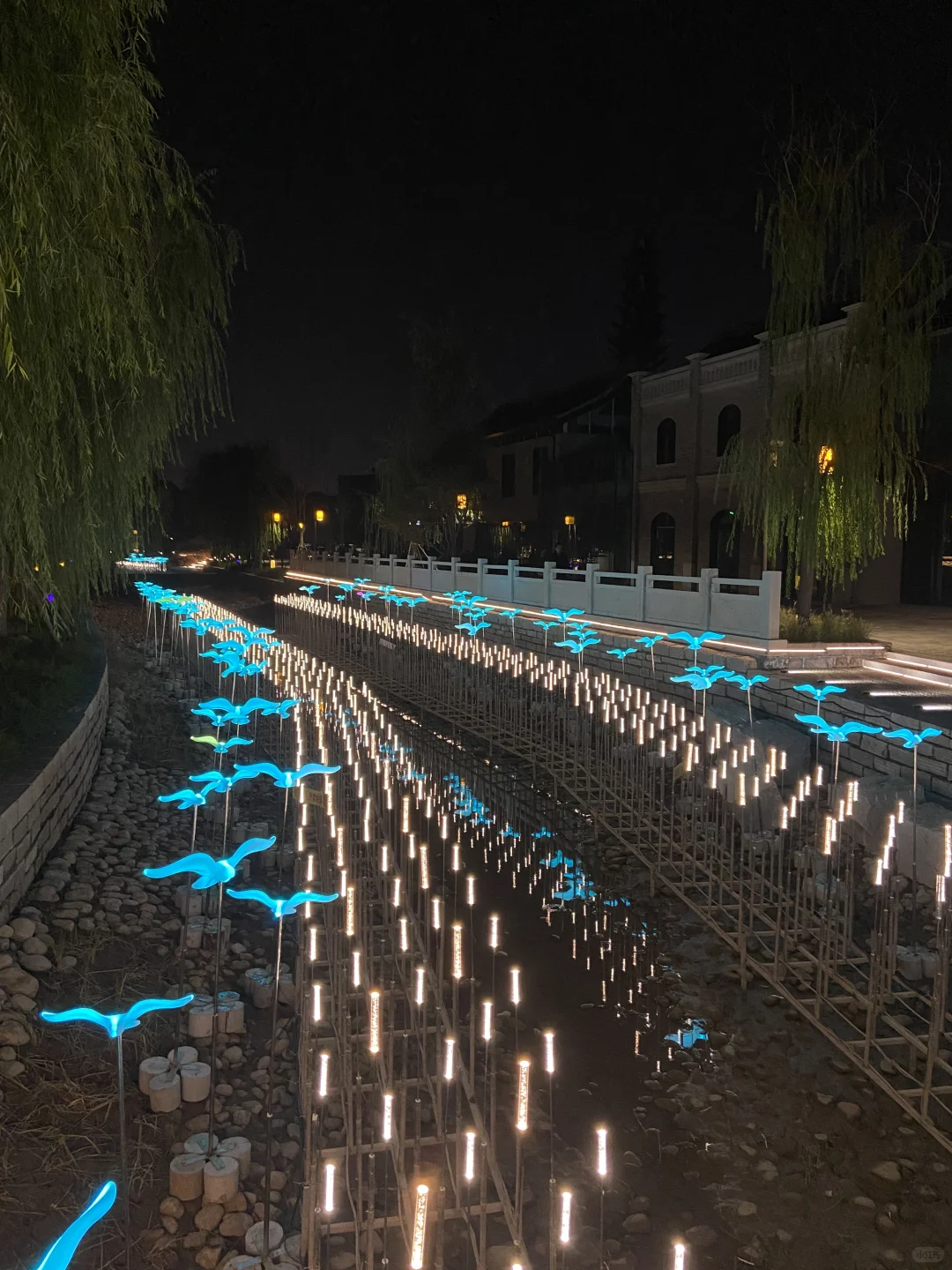 安阳版“水上威尼斯”🤩🤩避暑乘凉‼️超美夜景