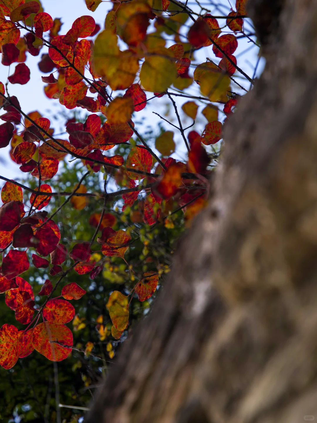 河南究竟还有多少被严重低估的绝美山水啊‼️
