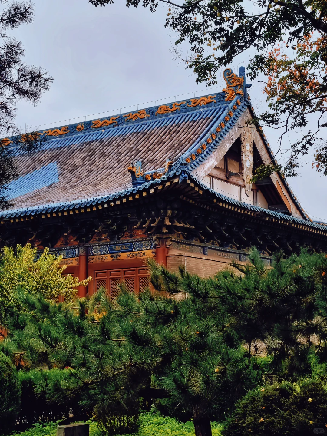 安阳｜老城漫步