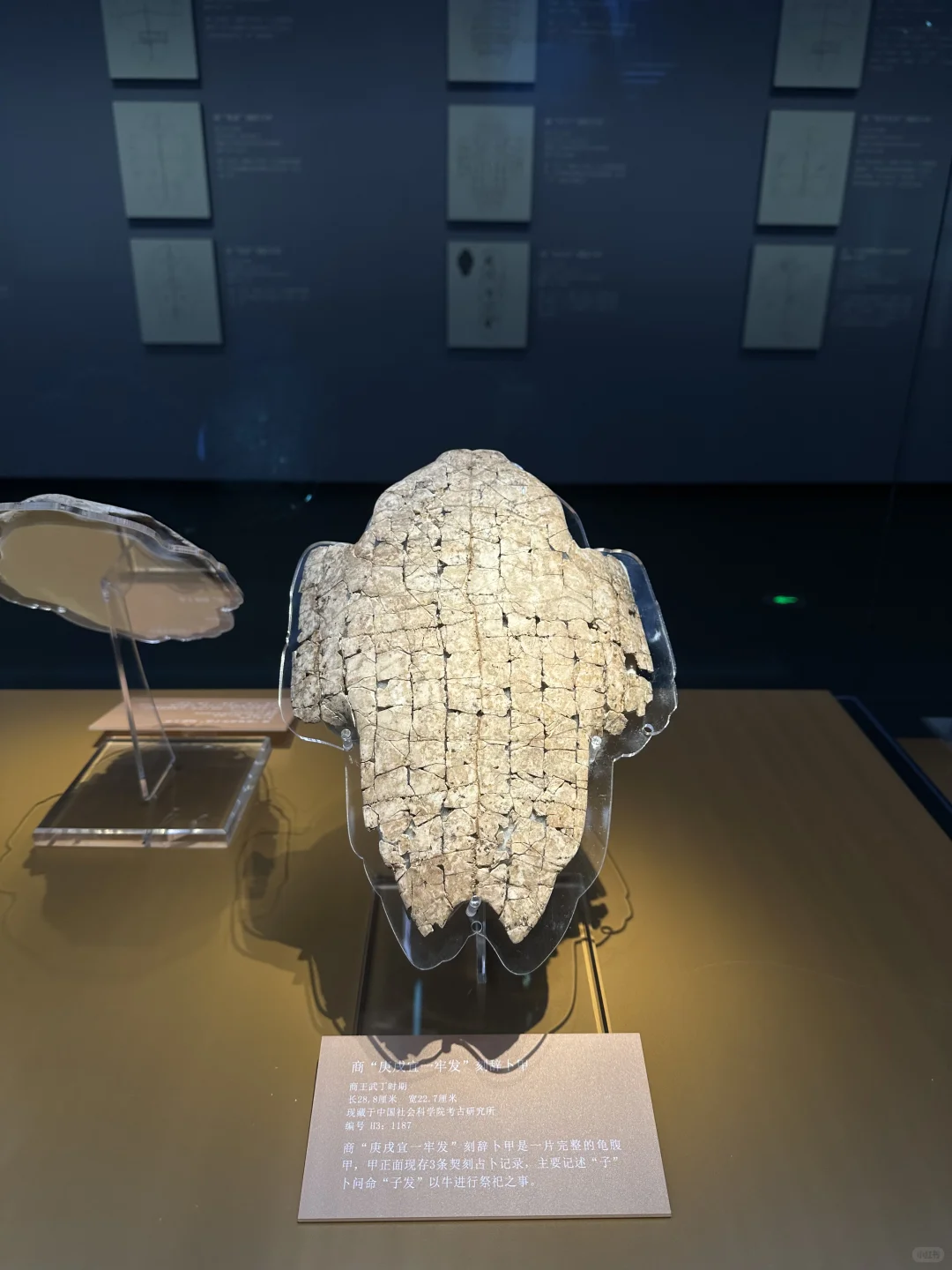没想到殷墟博物馆…..