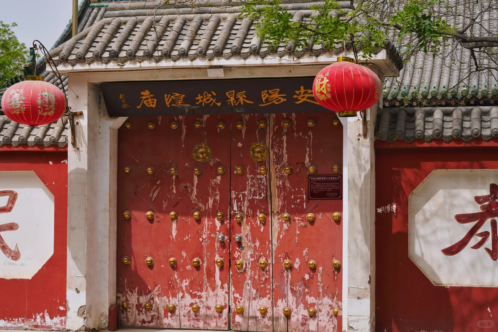 安阳半日citywalk