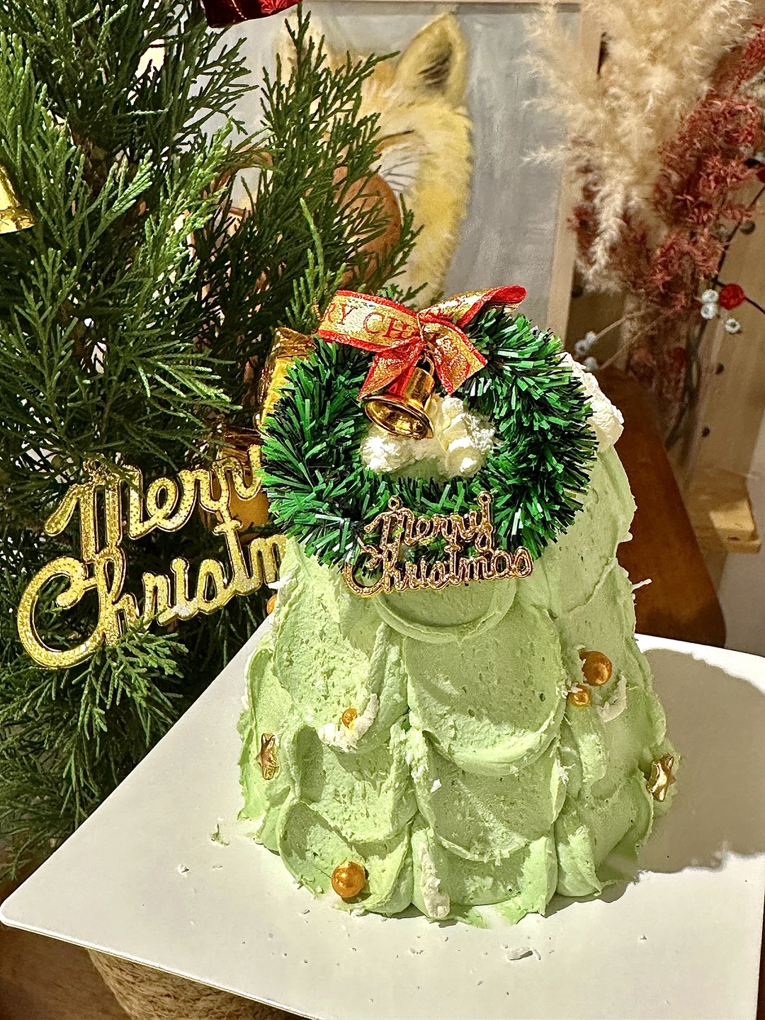 郑州！郑州！郑州！好喜欢这种小众氛围感店